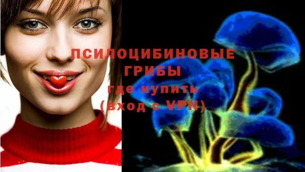 соль курить ск Алзамай