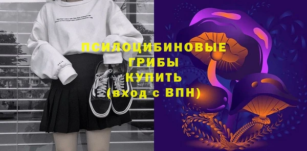 мет Алексин