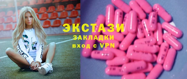 мет Алексин