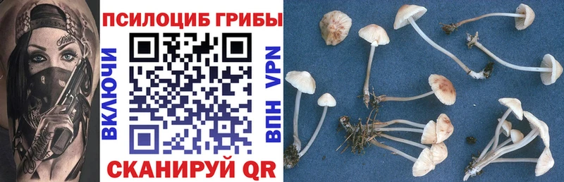 Псилоцибиновые грибы ЛСД  купить   Мурино 